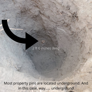 Property line survey